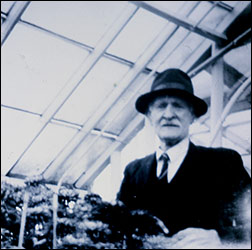 Harry Cole in one of his greenhouses 