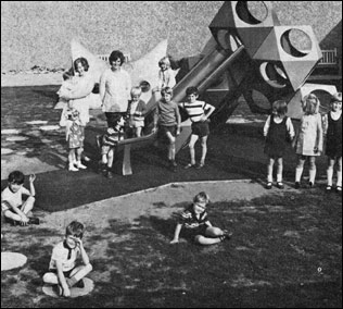 Children with play apparatus at The Paddocks play area