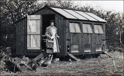 Lily May Farrow collecting eggs