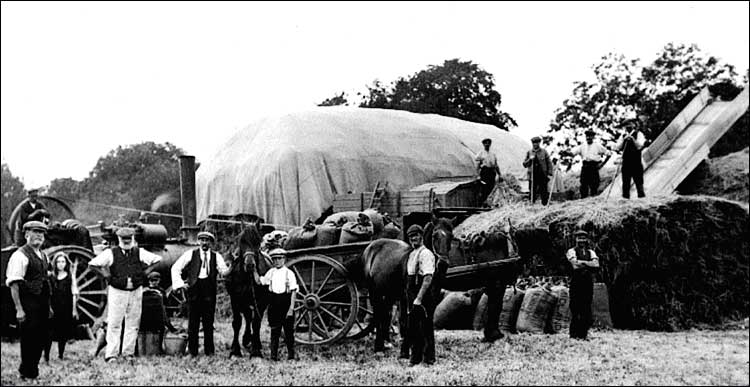 An early 1920's harvest scene at Bungalow Farm