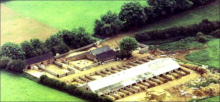 Stopps Piggery 1965