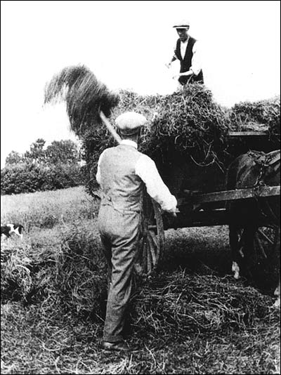 Haymaking on the Farm