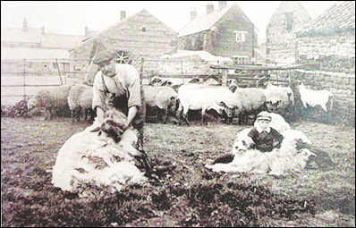 Washpit farm, High Street, in the early 1900s