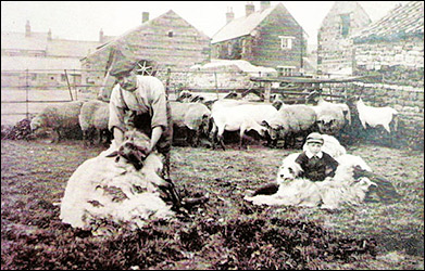 Washpit Farm, from the east.  The line of houses in the left distance is the High Street