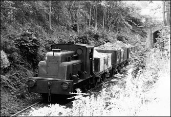 Gray's Works - approaching the tunnel under Polwell Lane