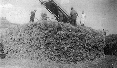 Threshing early 1950s aat Willows Farm, Cranford.  Pictured are Ray Annis, Jack Craddock, Edgar Denton and his daughter, Mary Denton