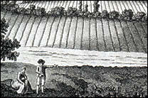Period engraving showing the altered landscape post-enclosure
