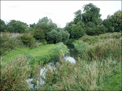 Burton Latimer Pocket Park - 2009