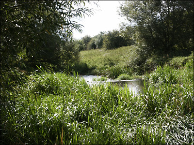 Burton Latimer Pocket Park - 2009